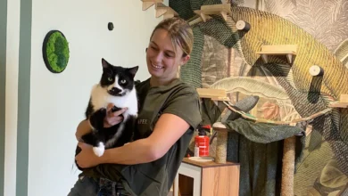 Katzentempel Heidelberg